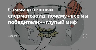 Центриолярные факторы и генетические дефекты структур сперматозоида,  предсказывающие беременность. | Игнатова Анастасия | Дзен