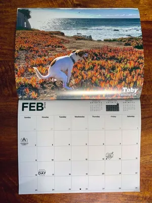 Nowości_z_pól on X: \"Господа собачники! Я бы вам прям всем подарил такой  Календарь!!! Реальный Календарь со срущими собакеными...)))  https://t.co/dVQMtr84oo\" / X