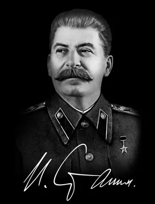 Правда ли, что Сталин запретил телефонизацию СССР, назвав её «инструментом  контрреволюции»? | Пикабу