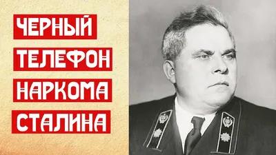 СК начал проверку после обнаружения тел на бывшей даче Сталина в Мытищах —  РБК