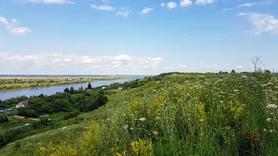 Туалеты для туристов на территории Старой Рязани в ближайшее время не  появятся - Рязанские новости. Новости Рязани и Рязанской области, сегодня и  сейчас