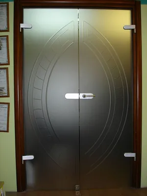 Заказать тонированные двери от компании производителя ERAGLASS
