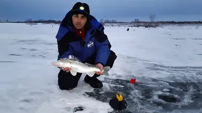 Лучшие зимние блесны на судака