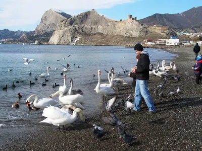 Зимой за Судаком на Водохранилище. Выпуск №64