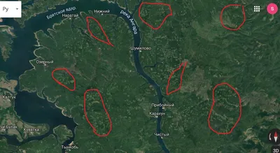 Вырубка тайги (55 фото) - 55 фото