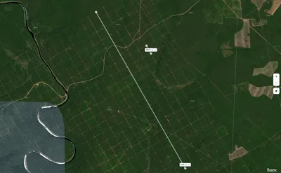 Вырубка тайги (55 фото) - 55 фото