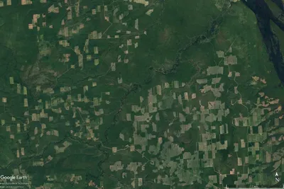 Леса Сибири со спутника (71 фото) »