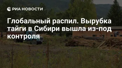 Медики и пилоты спасли парашютиста, который неудачно приземлился в тайге в  Томской области - Томский Обзор – новости в Томске сегодня
