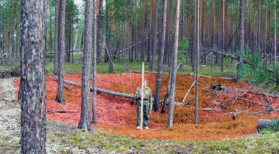 Спутник \"Скиф-Д\" завершил летные испытания - Российская газета