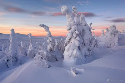 Дорога Snowy в природе дикого тайги леса зимы феи леса снежного прекрасной  России Лес Тайги зимой Стоковое Изображение - изображение насчитывающей  сосенка, русско: 169194523