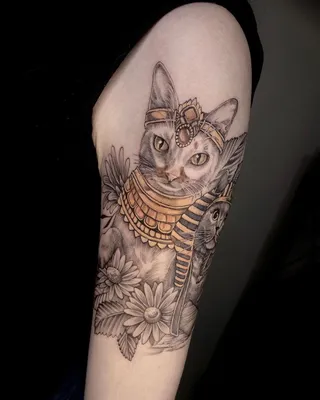 cat tattoo. Кот тату на руку, графика, тату в стиле скетч | Эскиз тату,  Рисунки татуировок, Кошачьи тату
