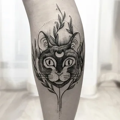 Кошка на плече - 70 фото