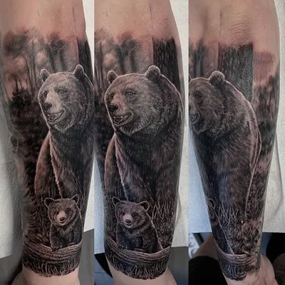 Тату для мужчин с мотивом медведи фото работ в каталоге тату салона в Москве