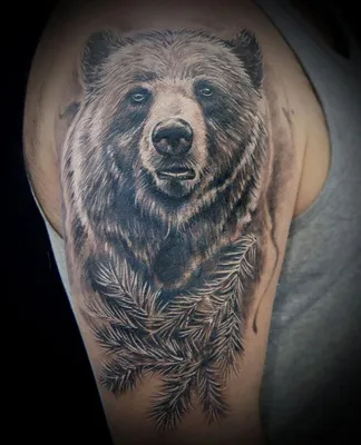 Медведь и коловрат (плече) | Татуировка с медведем, Татуировки медведя,  Татуировки с медведями гризли