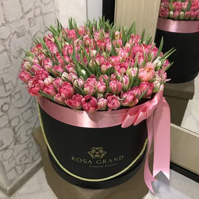 Almaflowers.kz | Красные тюльпаны в белой подарочной коробке \"Maison des  fleurs\" - купить в Алматы по лучшей цене с доставкой