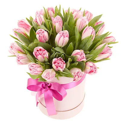 Тюльпаны голландские в коробке ( L ) до 149 тюльпанов - купить в  интернет-магазине Rosa Grand