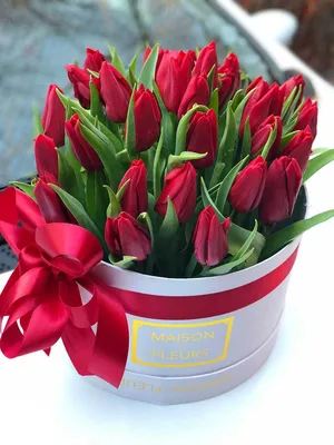 Белые и розовые тюльпаны в коробке (L) до 149 тюльпанов - купить в интернет  магазине Rosa Grand
