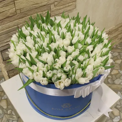 Тюльпаны в круглой коробке – купить с доставкой в Москве. Цена ниже!