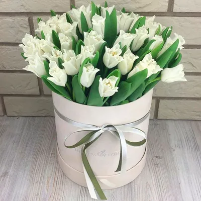 Купить 51 белый тюльпан в коробке с доставкой Днепр| в Интернет-магазине  цветов Royal-Flowers