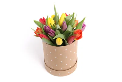 Разноцветные тюльпаны в шляпной коробке с бесплатной доставкой по  Екатеринбургу | ПроБукеты