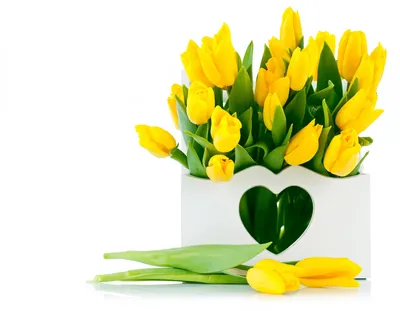 Обои на рабочий стол весна тюльпаны: фото, изображения и картинки