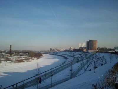 Белые медведи СУЭНКО уже в Тюмени