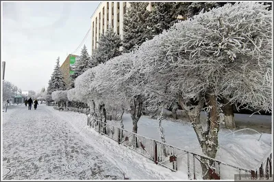 Сибирское притяжение: самые красивые фотографии зимней Тюмени »  BigPicture.ru