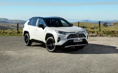 GREAT DEALS On The 2020 Toyota RAV4 In Owensboro, KY