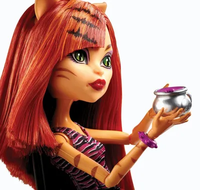 Купить Monster High набор Кэтти Нуар и Торалей Fierce Rockers Catty Noir ,  Toralei по отличной цене в Киеве