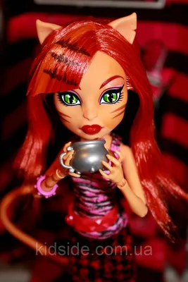 Игровая кукла - Куклы монстер хай monster high Торалей купить в Шопике |  Пенза - 661920