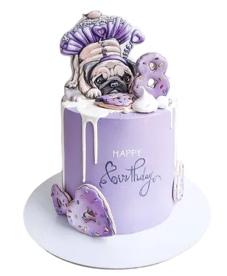 Торт для девушки 06033221 девушке на день рождения на 25 лет с белой розой  стоимостью 8 650 рублей - торты на заказ ПРЕМИУМ-класса от КП «Алтуфьево»