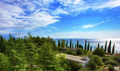Пляж Цандрипш, Абхазия - «Пляж Цандрипш в Абхазии для непритязательных  туристов: тишина, спокойствие, первобытность🌊🌊🌊» | отзывы