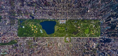 Фото Центральный Парк Нью Йорка фотографии