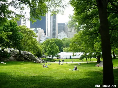Центральный парк Нью-Йорка | ФОТО НОВОСТИ