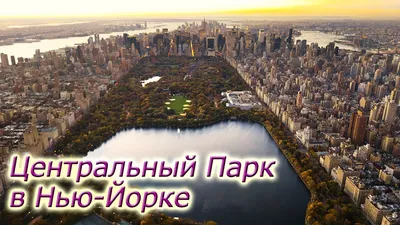 Центральный парк Нью-Йорка могут превратить в убежище для иммигрантов? |  Rubic.us