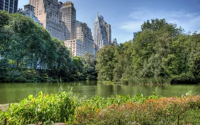 15 причин для посещения Центрального парка Нью-Йорка - Passion for  Hospitality