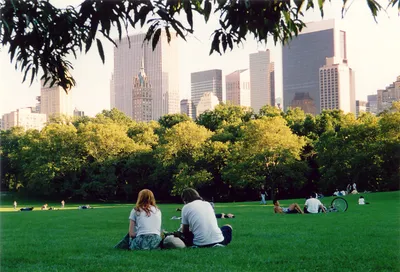 В Центральном парке в Нью-Йорке — фотография, размер: 1200x803