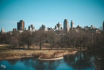 Центральный парк (Нью-Йорк) — фотография, размер: 1600x900