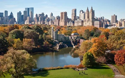 Фото Центрального парка Нью-Йорка (252 фото)