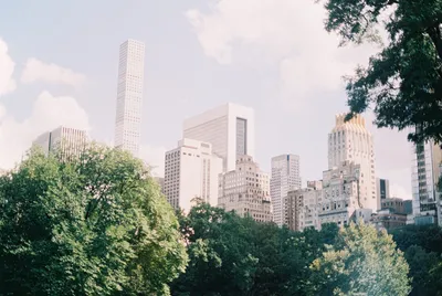 Центральный парк Нью-Йорка: первая ознакомительная прогулка и экскурсия по  чтению | GetYourGuide