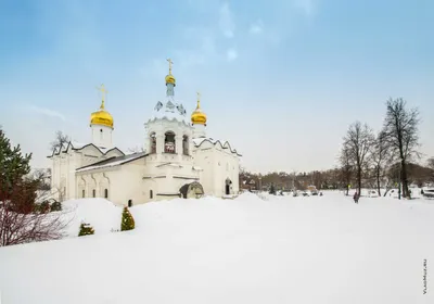 Зима в деревне Сологубовка. Красивые церкви, старинные дома, пейзажи реки  Мги