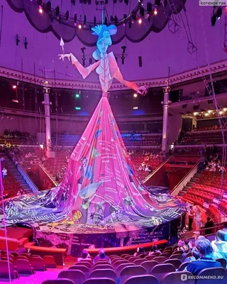 Московский цирк Никулина на Цветном бульваре (отделение 2) - YouTube
