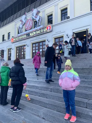 Московский Цирк Никулина, Москва - «Цирк Никулина на Цветном бульваре.  Программа \" Акварели\".» | отзывы