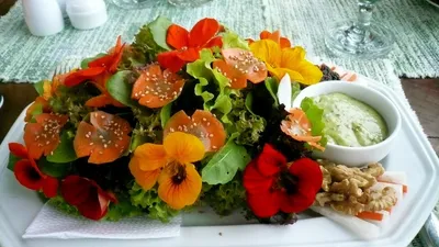 Семена цветов Настурция большая Поиск Золотой блик 1 г — цена в Оренбурге,  купить в интернет-магазине, характеристики и отзывы, фото
