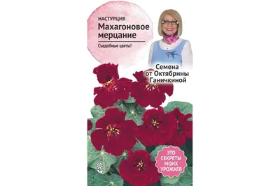 Настурция - Рассада однолетних цветов - Каталог - SlavUsadba.ru