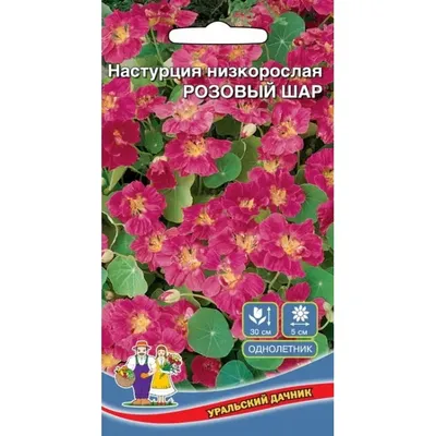 Набор для выращивания растений Rostok Visa Вырасти сам цветок Настурция в  подарочном горшке купить по цене 248 ₽ в интернет-магазине Детский мир
