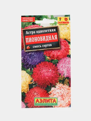 Искусственные цветы Астра арт. 3179-102 купить оптом в Москве - каталог,  цены, фото, отзывы