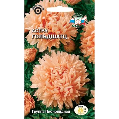 Купить Астра Леди Корал лососево-розовая семена цветов однолетних с  доставкой почтой в Минске