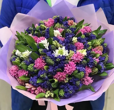 Гиацинт Мультифлора Блю (Hyacinthus Multiflora Blue) - Луковицы гиацинтов -  купить недорого гиацинты в Москве в интернет-магазине Сад вашей мечты