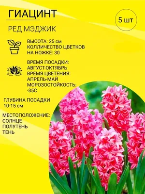 Цветок искусственный Гиацинт, 40 см купить по низкой цене - Галамарт